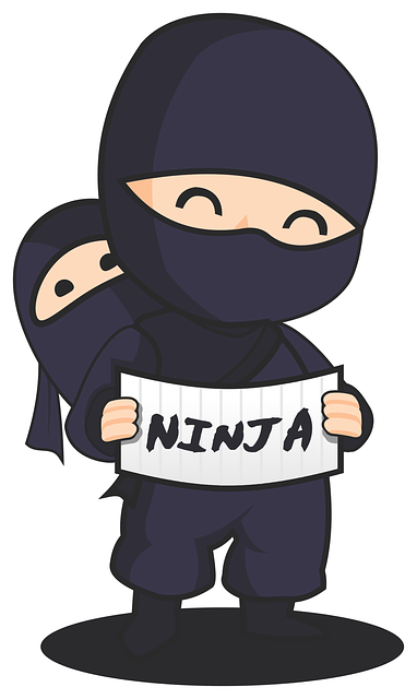 ABONNEMENT IPTV VIP NINJA